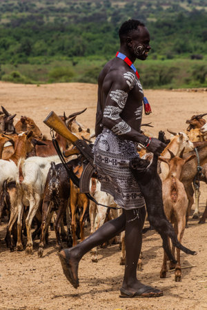 KORCHO, ETHIOPIA - FEBRUARY 4, 2020: Karo tribal man with a rifle and goats in Korcho village,...