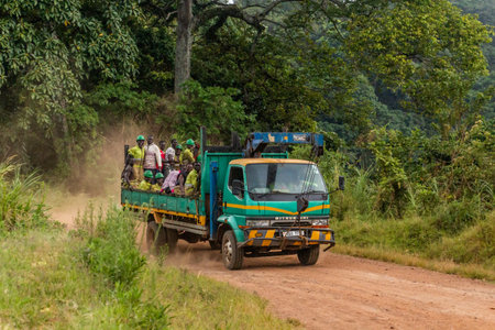 FORT PORTAL, UGANDA - MARCH 11, 2020: Truck carrying local workers in the crater lakes region near...