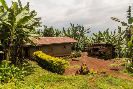 Rural house near Mount Elgon, Ugandaの写真素材