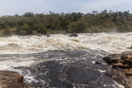 Victoria Nile river above Murchison Falls, Ugandaの写真素材