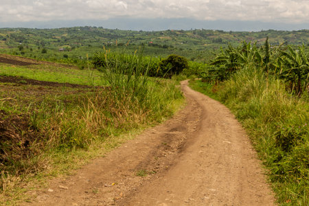Rural road in the crater lakes region near Fort Portal, Ugandaの写真素材