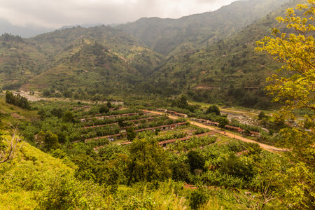 Aerial view of Kilembe village, Ugandaの写真素材
