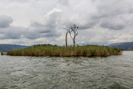 An island in Bunyonyi lake, Ugandaの写真素材