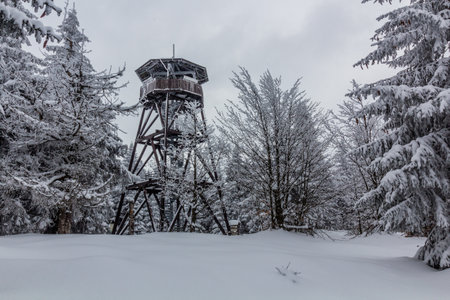 Anna lookout tower in Orlicke hory mountains, Czech Republicの写真素材