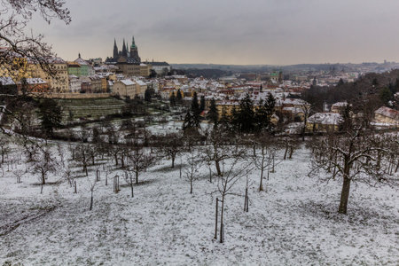 Winter view of St. Vitus cathedral and the Lesser Side in Prague, Czech Republicの写真素材