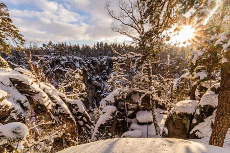 Winter view of snow covered Prachovske skaly rocks in Cesky raj (Czech Paradise) region, Czech Republicの写真素材