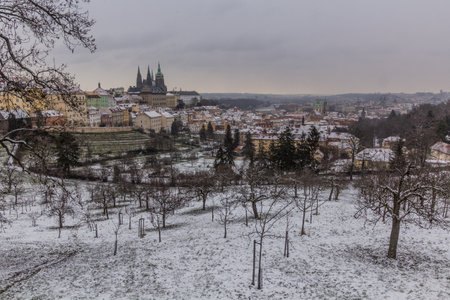 Winter view of St. Vitus cathedral and the Lesser Side in Prague, Czech Republicの写真素材