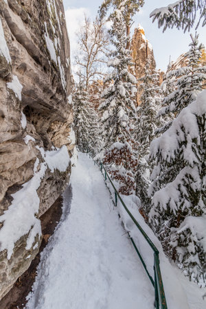 Winter view of a trail in Prachovske skaly rocks in Cesky raj (Czech Paradise) region, Czech Republicの写真素材