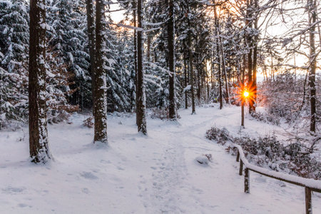 Winter sunset view of a trail in Prachovske skaly rocks in Cesky raj (Czech Paradise) region, Czech Republicの写真素材