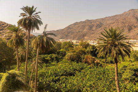Lush landscape of Thee Ain ( Dhi Ayn) village, Saudi Arabiaの写真素材