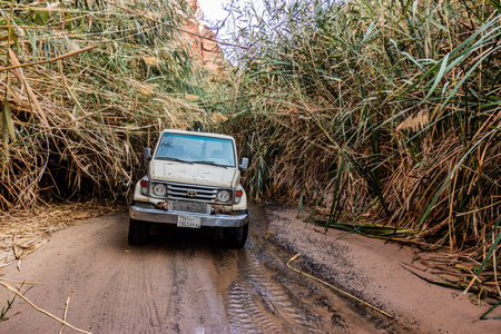 WADI DISAH, SAUDI ARABIA - NOVEMBER 7, 2021: Vehicle going through reeds in Wadi Disah canyon, Saudi...