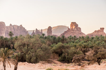 Rural landscape near Al Ula, Saudi Arabia