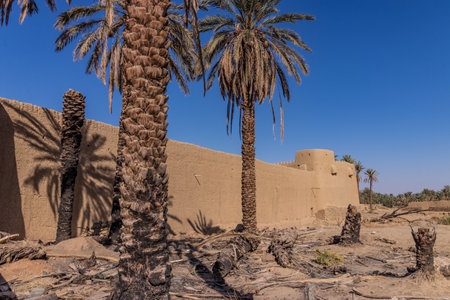 Fort (Ibn Rumman Palace) in Tayma, Saudi Arabiaの写真素材