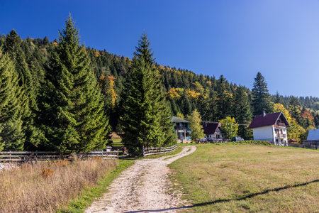 Houses of Mitrovac village, Serbiaの写真素材