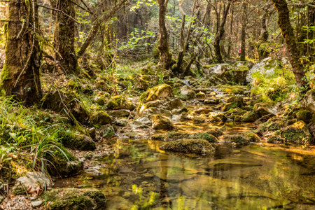 River near Elati village on Peloponnese peninsula, Greece
