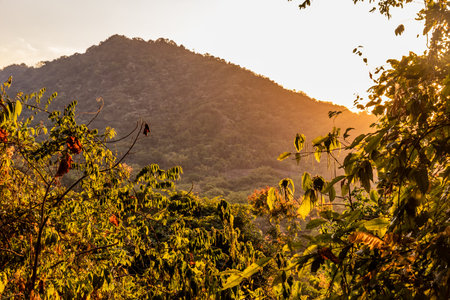 Evening view of hills near Minca, Colombiaの写真素材