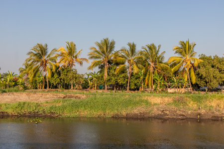 Banks of Magdalena river near Santa Cruz de Mompox, Colombiaの写真素材
