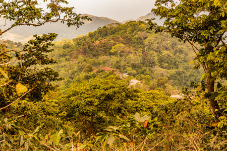 Lush landscape near Minca, Colombia