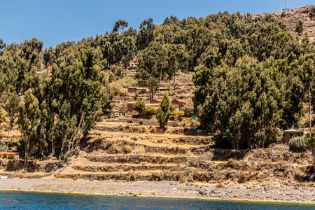 Terraces of Amantani island in Titicaca lake, Peruの写真素材