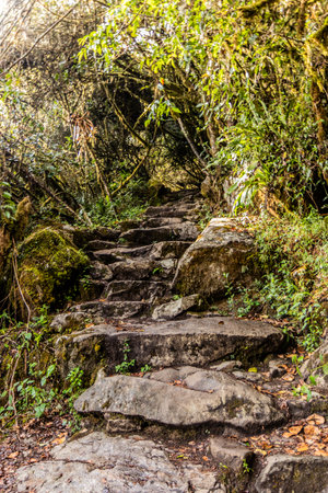 Steps leading to Machu Picchu mountain, Peruの写真素材
