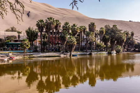 Pond in Huacachina oasis near Ica town, Peruの写真素材