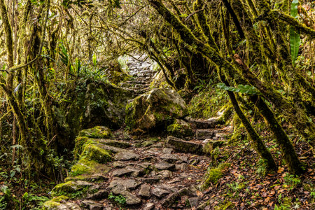 Steps leading to Machu Picchu mountain, Peru