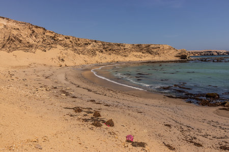 Cliffs and a beach in San Fernando national reserve, Peruの写真素材