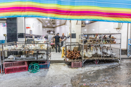 SULAYMANIYAH, IRAQ - OCTOBER 6, 2022: Poultry stalls the Naqib market in Sulaymaniyah (Slemani), Kurdistan Region of Iraqのeditorial素材