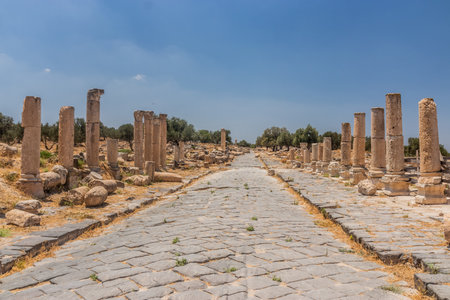 Decumanus Maximus street ruins in Umm Qais (Gadara), Jordanの写真素材