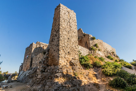 Ruins of Aljoun castle, Jordanの写真素材