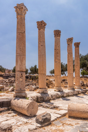 Sanctuary and propylon columns in Umm Qais (Gadara), Jordanの写真素材