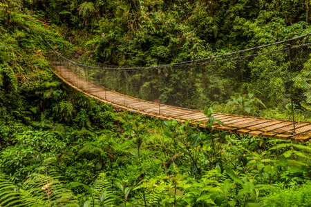 Hanging bridge in Yanachagaâ€“Chemillen National Park, Peru
