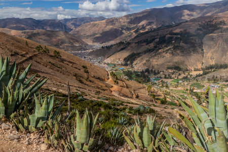 Agave plants and a valley with Tarma town, Peruの写真素材