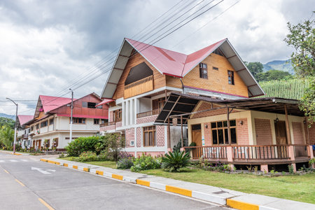 German style houses in village in Pozuzo valley, Peruの写真素材