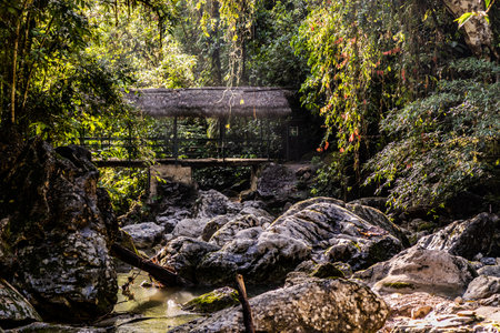 Foot bridge near Catarata Santa Carmen waterfall near Tingo Maria, Peru