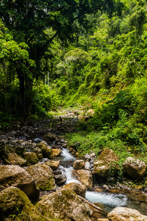 Stream near Catarata Gloriapata waterfall in Tingo Maria national park, Peru