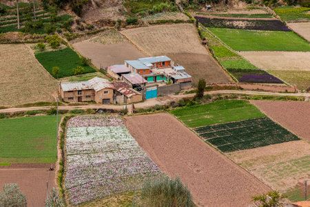 Rural landscape of Chuchopampa village near Tarma town with flower fields, Peru