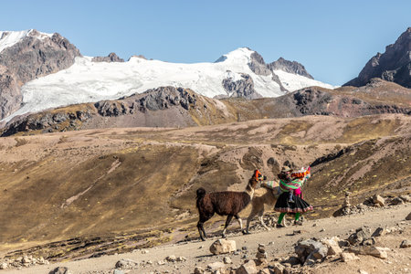 VINICUNCA, PERU - NOVEMBER 7, 2022: Local woman with her llamas on her way to Vinicunca Rainbow...
