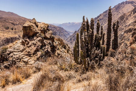 Steps at Chimpa (Chimba) fortress above Colca canyon, Peruの写真素材