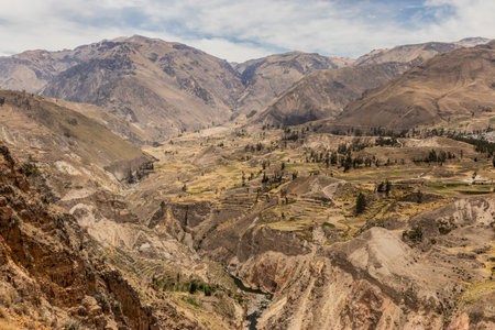 Aerial view of Colca canyon, Peruの写真素材