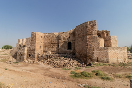 Ruins of ancient Harran Castle, Turkeyの写真素材