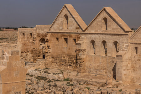 Ruins of the Great Mosque (Ulu cami) in the ancient town Harran, Turkeyの写真素材