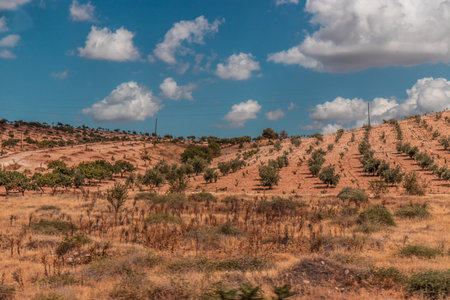 Agricultural landscape near Sanliurfa, Turkeyの写真素材