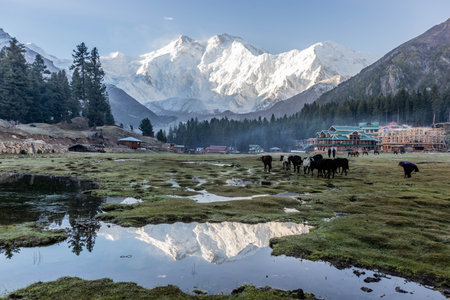 Fairy Meadows under Nanga Parbat mountain in the Gilgit-Baltistan region in Pakistanの写真素材