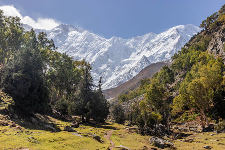 Nanga Parbat mountain in Gilgit-Baltistan region in Pakistanの写真素材