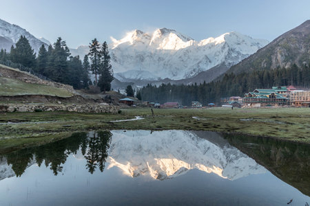 Fairy Meadows with Nanga Parbat in the background, Pakistanの写真素材