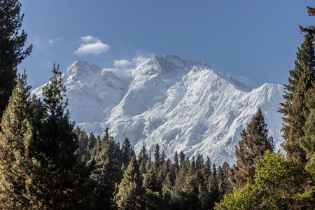 Nanga Parbat mountain in the Gilgit-Baltistan region in Pakistanの写真素材
