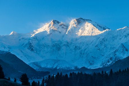 View of Nanga Parbat mountain from Fairy Meadows in the Gilgit-Baltistan region in Pakistanの写真素材