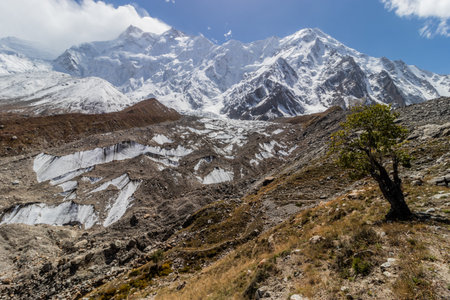 Ganalo glacier under Nanga Parbat mountain in Gilgit-Baltistan region in Pakistanの写真素材