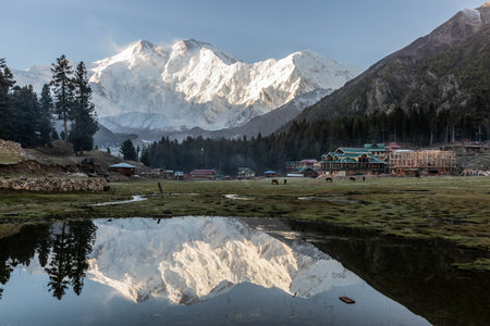 Fairy Meadows under Nanga Parbat mountain in the Gilgit-Baltistan region in Pakistanの写真素材